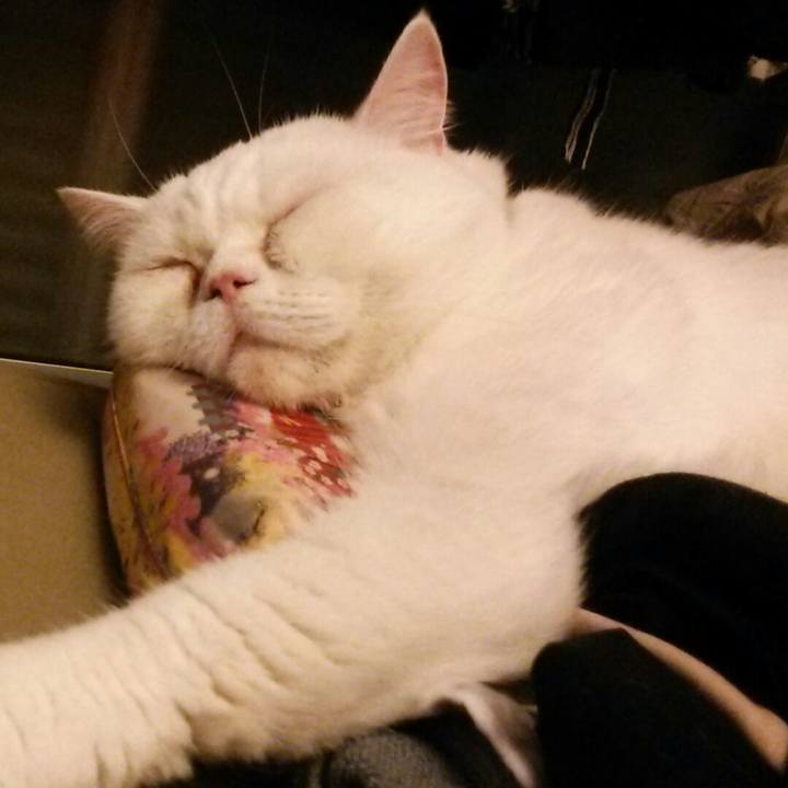 2129c91c 9615 4836 971f 074dd7dcef62 1542977714123