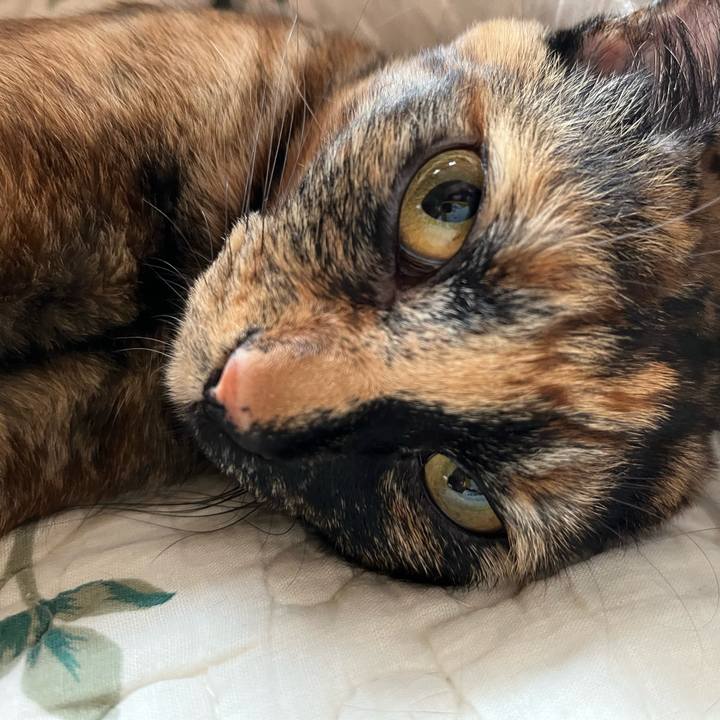 2129c9f4 8a70 46d8 8089 874c37ca1a56 1660031639559