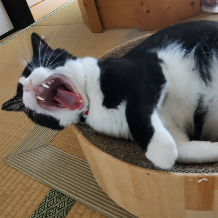 2129dbc1 1f34 4e6d 8d54 51ed340e2ff0 1628827354417