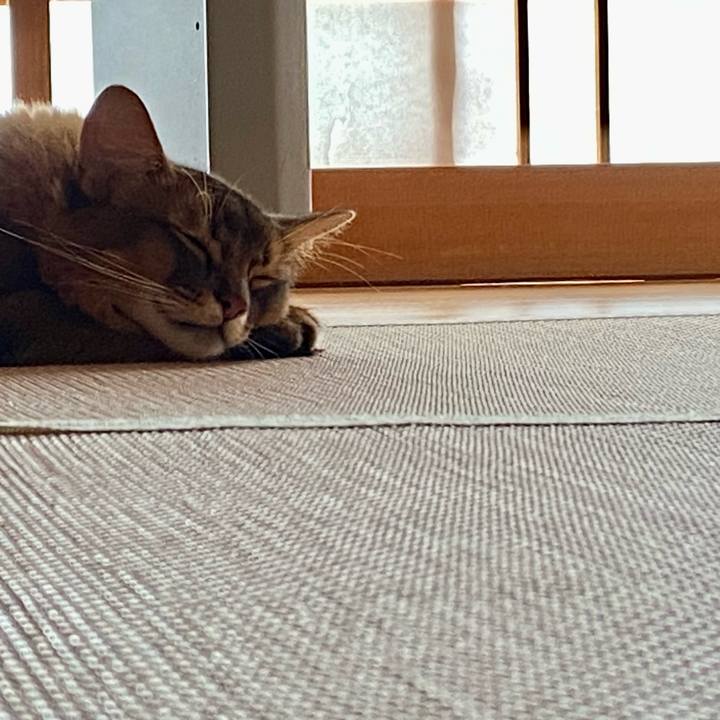 212a0466 85fe 4b3a 9f73 1ad7bdeaa440 1692746366393