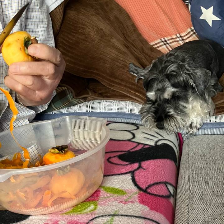 212a2af8 d044 4221 8f76 965971c1fb39 1730028672996