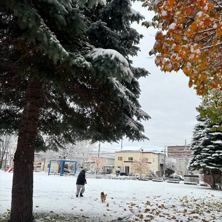 212a7863 c05e 4c63 9638 47233ea9d4a9 1762567686249