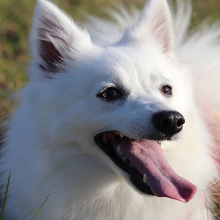 212ac42e 7f0b 417b 985e 86e4ec7a00d4 1586941022523