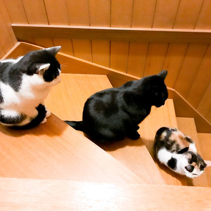 212ac52b 9032 4901 9038 929dc5e15706 1513348443333