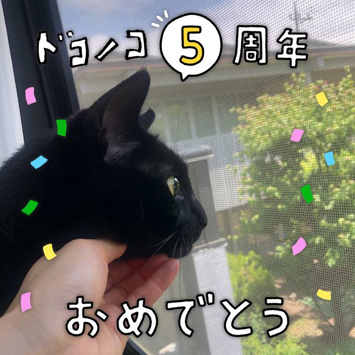 212ada95 59da 4fcb 8c88 87ce19761621 1622950277540