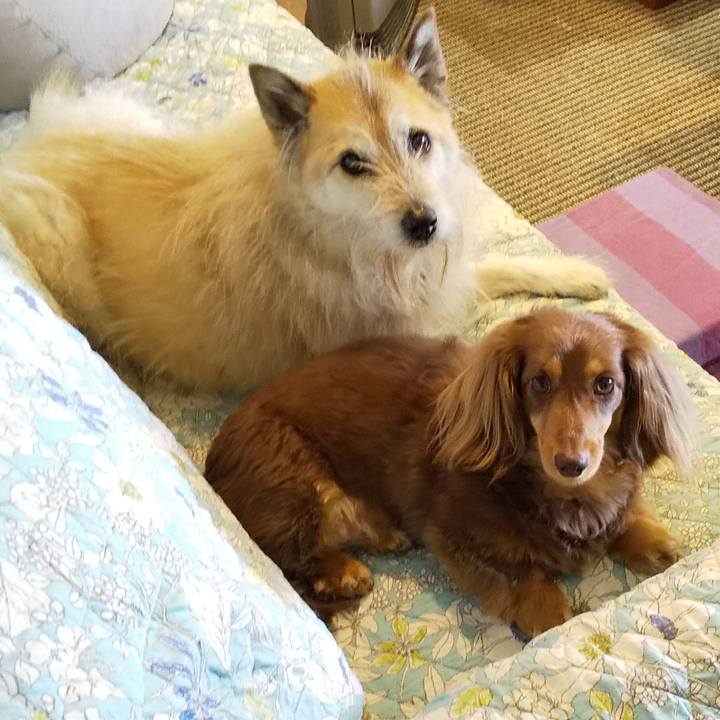 212adb10 0ad1 4faf 97d8 5076eeec9629 1557035228946