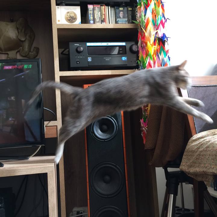 212aef82 1455 4810 a8c4 3cfb98888238 1555599325630