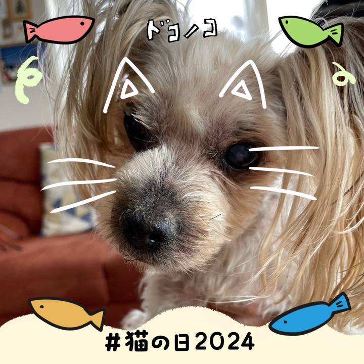 212b3c45 e96a 4d58 a28c 9387f2260507 1708590418917