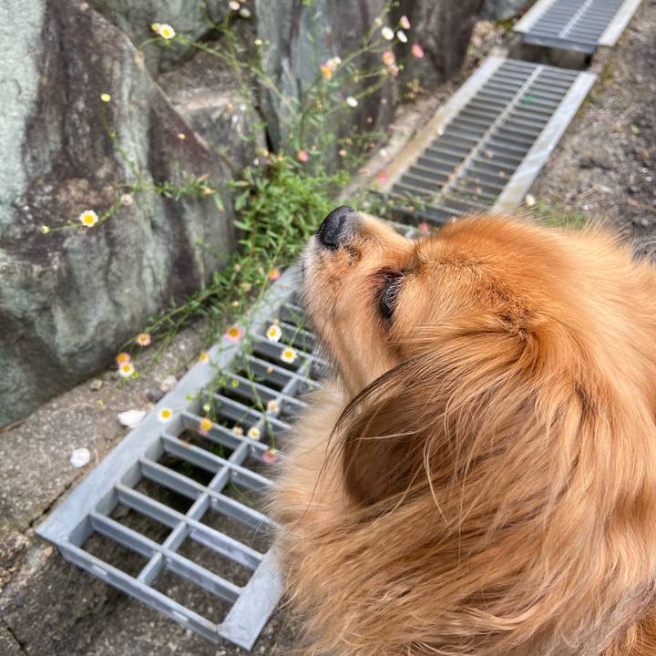 212b403e e66e 452e 9bc7 cc60dd7d2f34 1590357393305