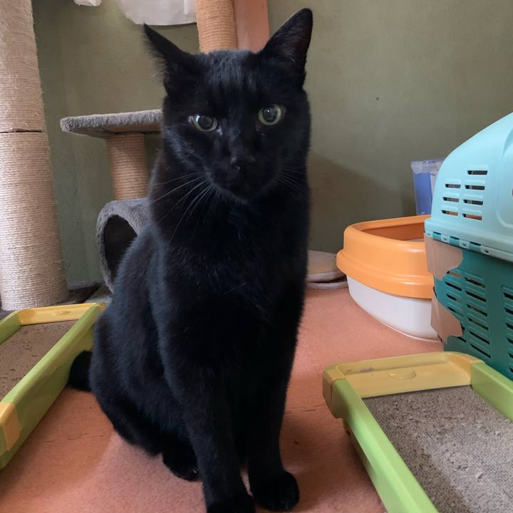 212b9884 dfd0 47b2 a79c e9773dc6a537 1577581467280