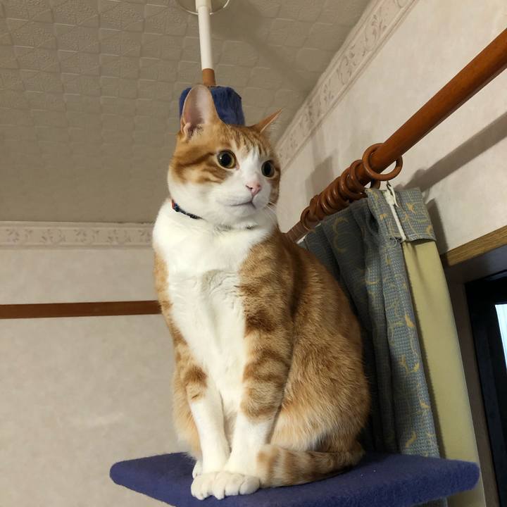 212b9a61 13f1 4c01 8e0b ce782339d480 1611828985466