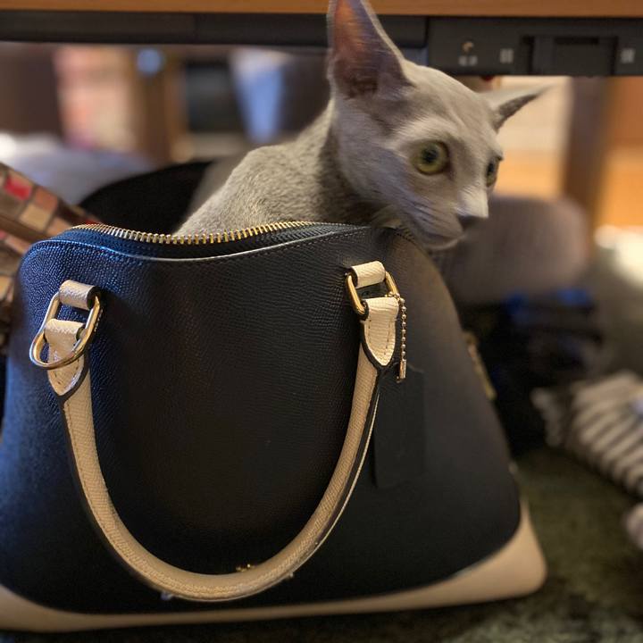 212beb89 2564 430c 813f 31f7e5cd74b5 1596964592618