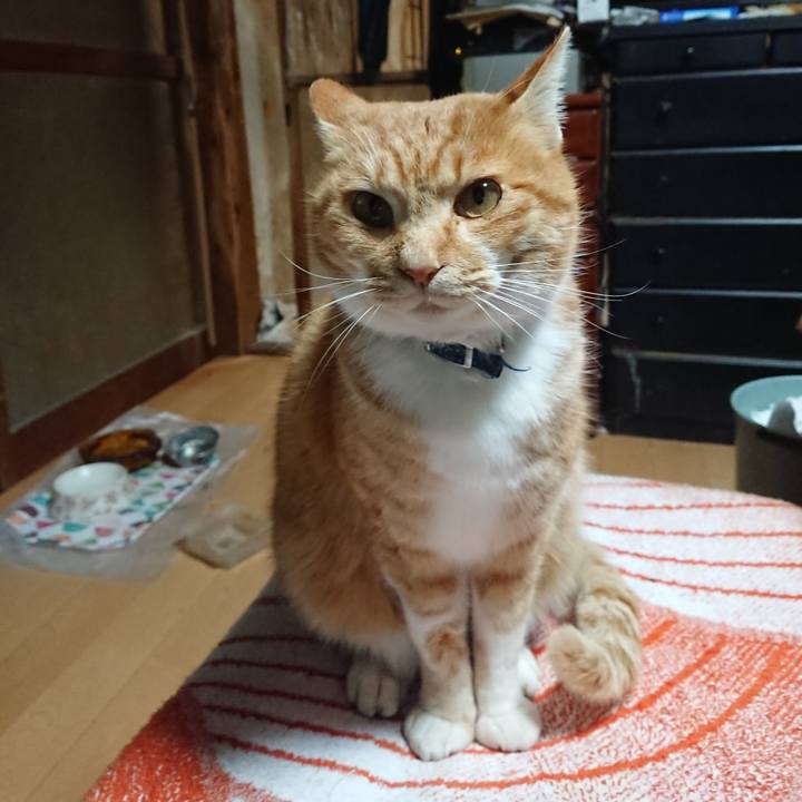 212bef29 3041 4d90 a396 4b0fe8fa29e7 1607284261009