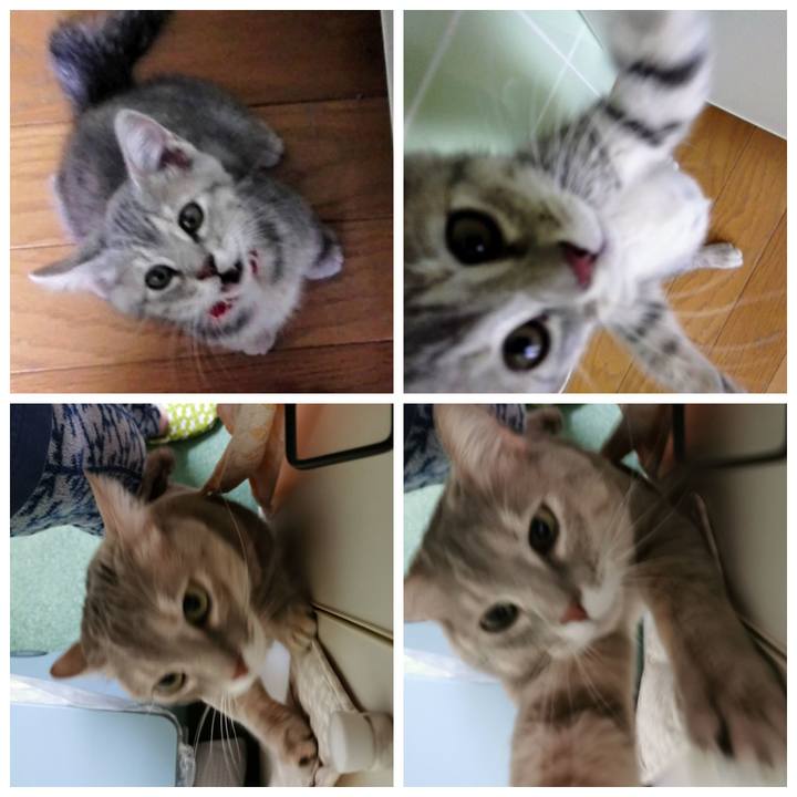 212bf790 760c 451c 939e 4010307e79f4 1639366402462