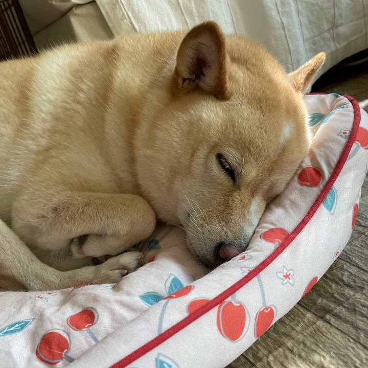 212c0541 a060 4c5b 90e2 5f94b318f4d1 1695947958004