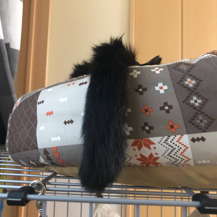 212c1d4e d4ac 4951 bee4 98423ff7cb5e 1559957343751