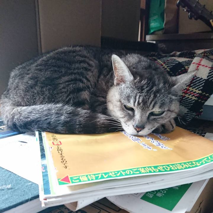 212c492f 70da 4083 b051 f23f0a3cb772 1563087502443