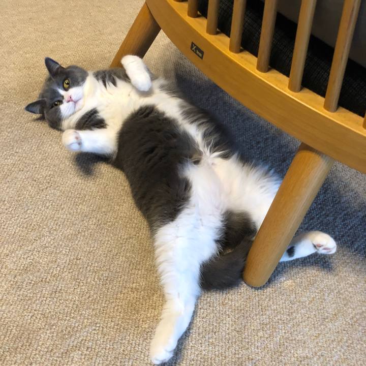 212c6e3d f8cb 408a 884f 082a1554c304 1564216321928