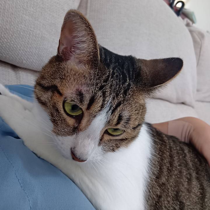 212c6e71 b154 4069 bd37 a5d9e0323b34 1757026851440