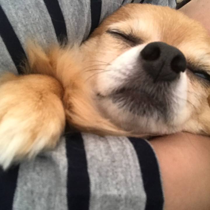 212ca416 7e22 4d47 854e 63a2c34959b0 1521336362043