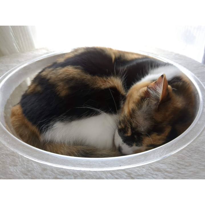 212cc3e0 6a9f 40cc 9f4b a7aacf04c9b0 1682232928420