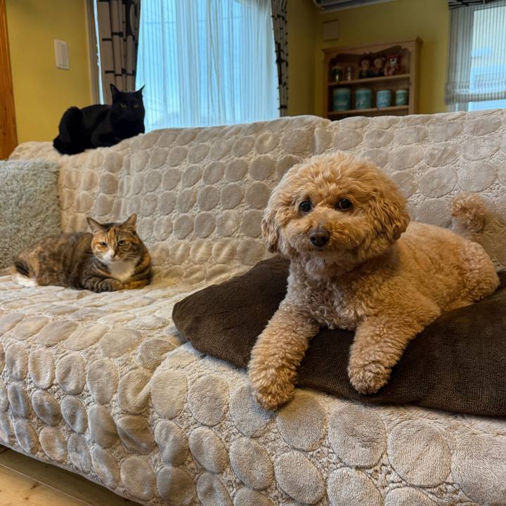 212ccff5 60fe 4fef b1b8 5b83eabce376 1773095424593