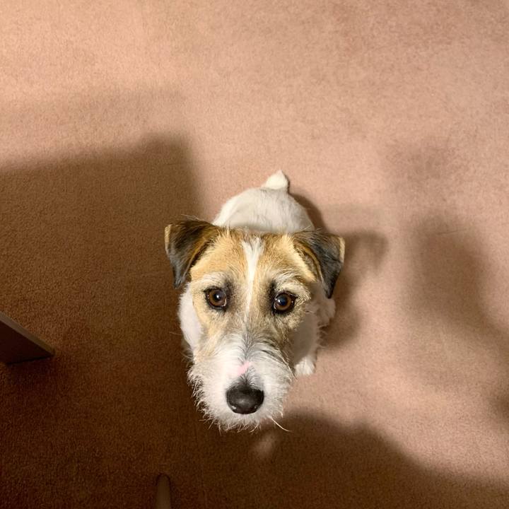 212cf834 80f3 4f37 bae8 928e792c2501 1613997505036