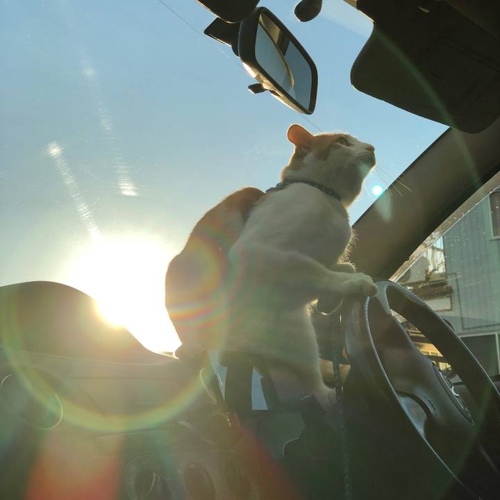 212d253b cea7 405b bd41 f8122e370d7c 1542962763131