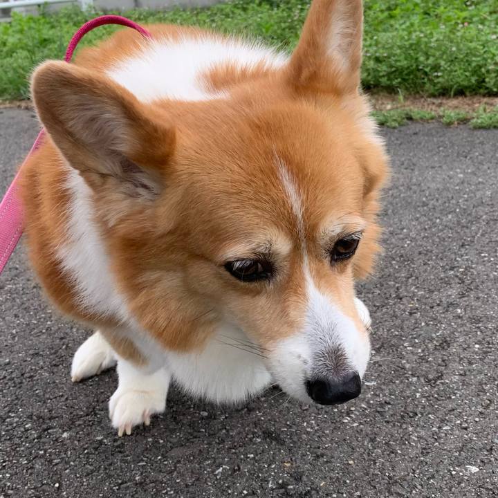 212d756e a827 4b5b a4c4 bdc548f52bb5 1721264443819