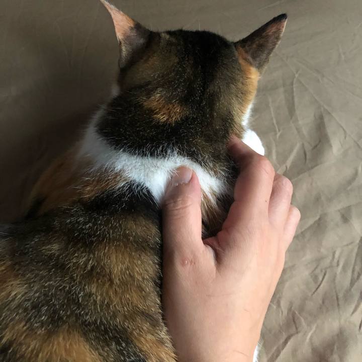 212d9056 d485 48b7 88e2 1c46623596ad 1591821338879