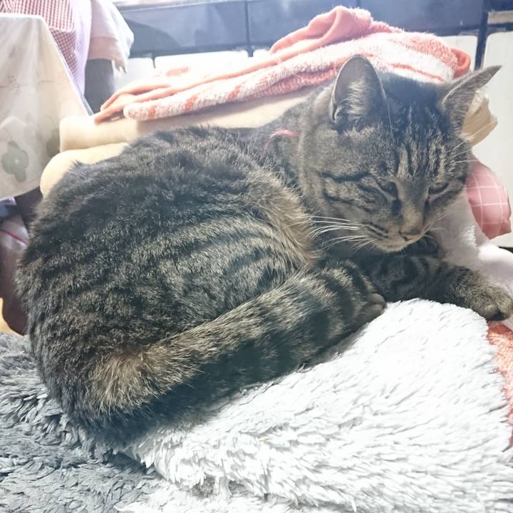 212d994d 1d55 4afb 8da2 3d4d970a402e 1641099784182