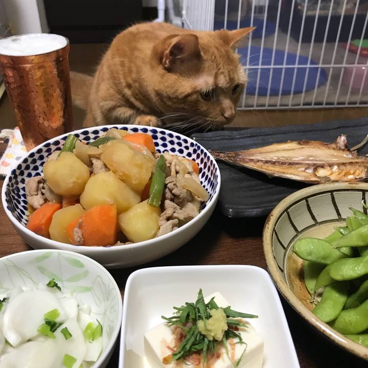 212d9a24 cd9c 4a22 a630 f5c41de9c3e4 1532431374267