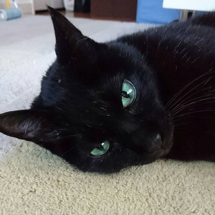 212d9a9b 698d 4dc9 9414 a1de37df8203 1508561038825