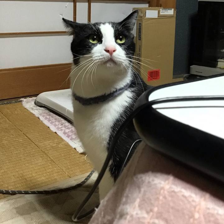 212e4428 985f 4709 8aa6 4a72eec63cdf 1669291462484