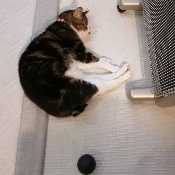 212e57a3 b693 41f4 8e32 d26c68f02d34 1586737892905