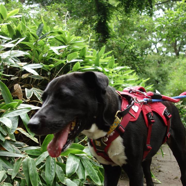 212e6a18 67c1 4db7 978b 195ce8342bad 1593473550158