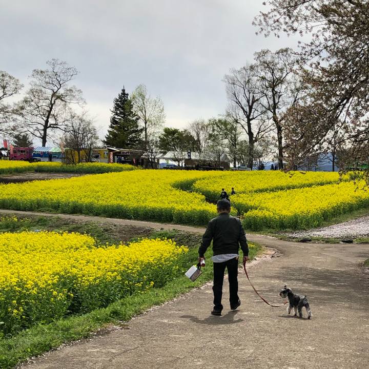 212e9a35 c446 4b06 9a33 7e47a2f855c3 1556447489883