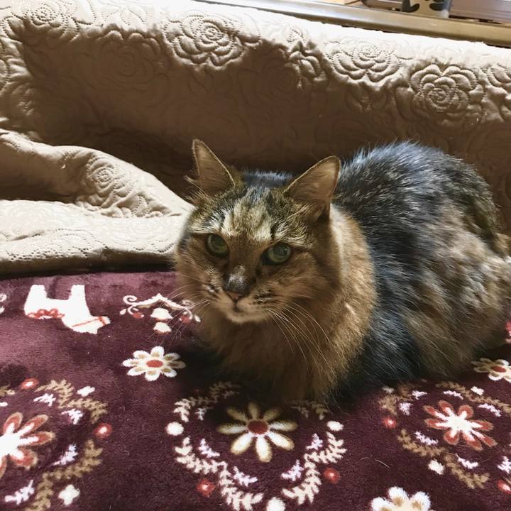 212ebbe0 7b29 4a91 992e 3304d5ff1244 1509885558026