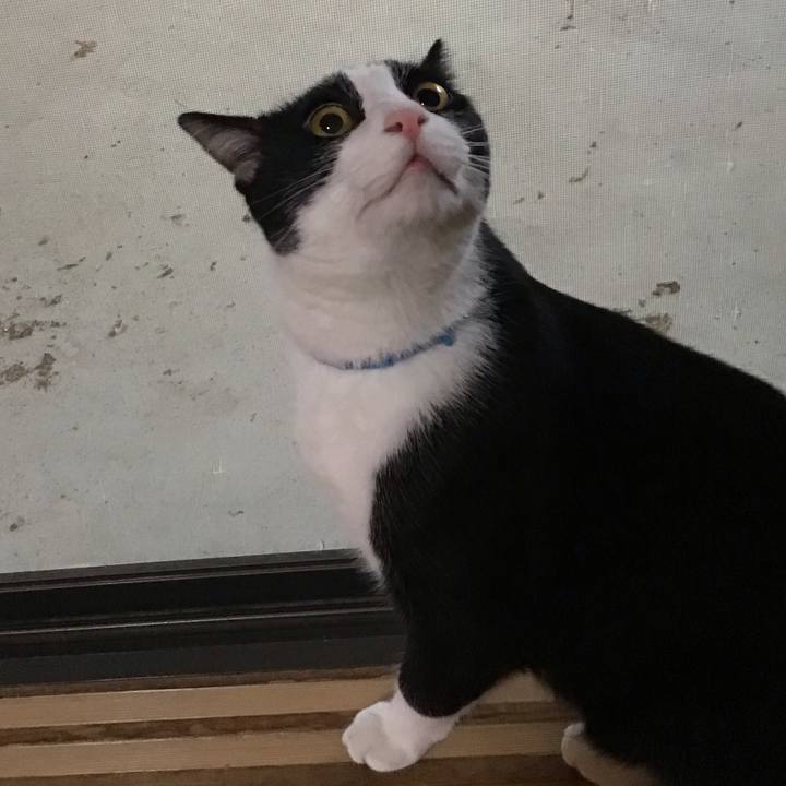 212ece12 4af7 458e a79d 067d6c55dc16 1658226566501