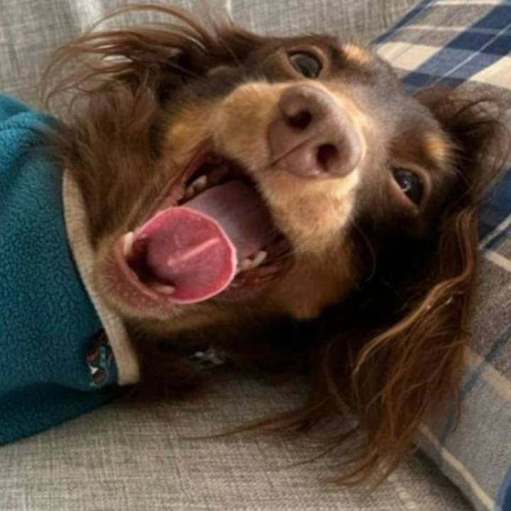 212f0d7b c06d 4c41 abe1 58234e5a3a1f 1771451590150