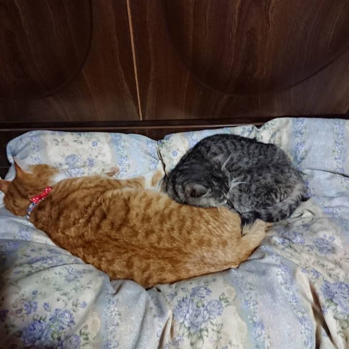 212f31ab ced1 4e83 9e9e 824eee4720bc 1578918358442