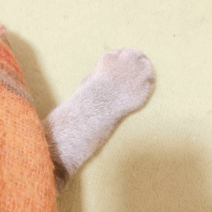 212f4a31 da7f 4c00 9d1b bd05fe6b9813 1539473479313