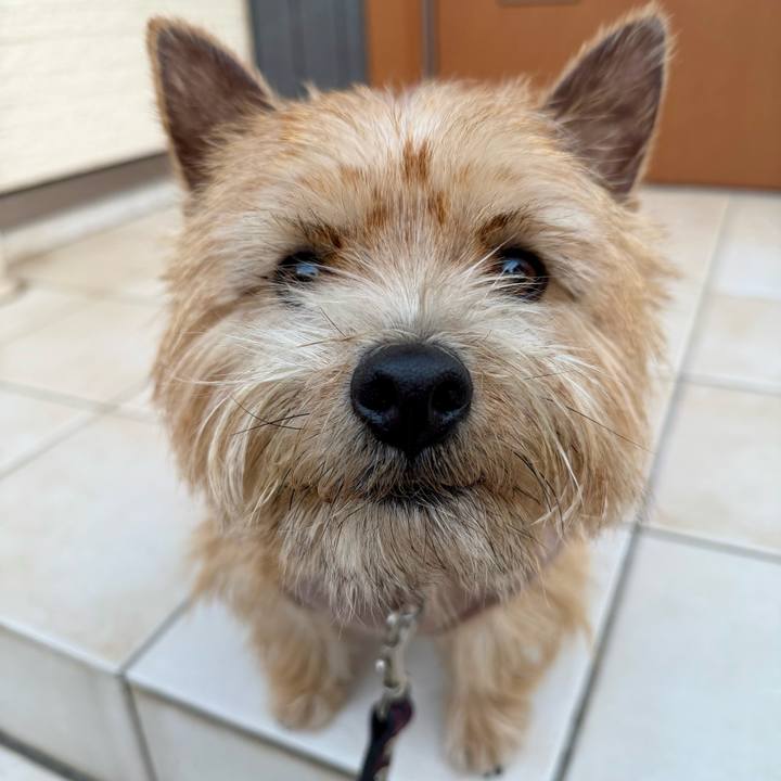 212fc7e5 063b 4069 ad05 ee6bd2d6fed3 1767619510436