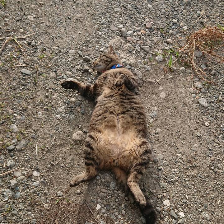 212fdcee 9bf3 4d67 bf49 760e5e65263a 1657229729304