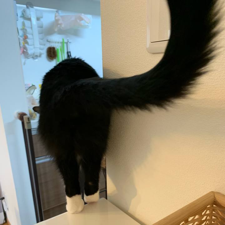 212fe8e1 173a 4c9c 8b48 7074ec13f914 1549979133441