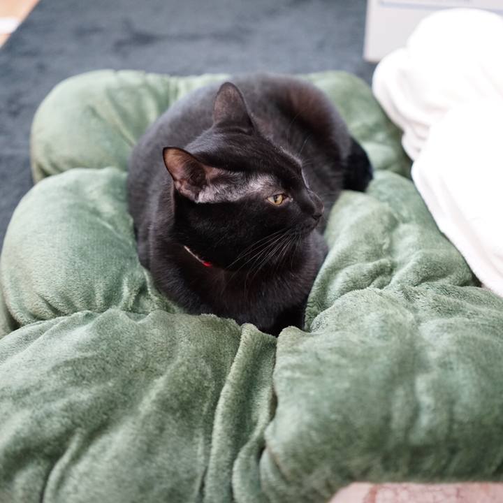 21300983 3182 4c81 9a8e 1e60f4e4a079 1510184672734