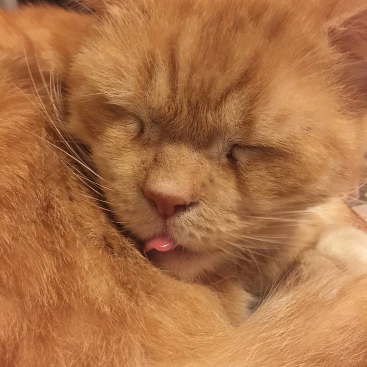 21302cdb 1a2a 4922 a10a 33c92b46892a 1575897877447