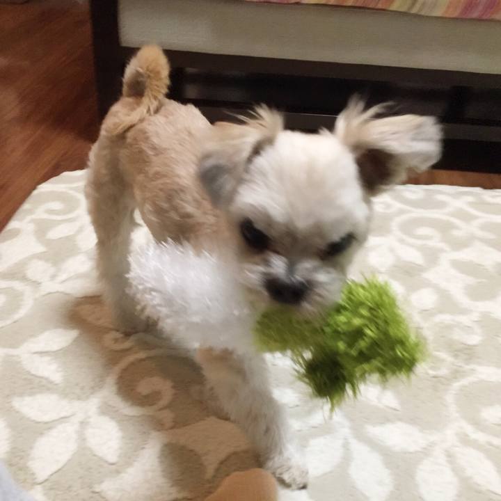 213036ab ac2d 4105 b29d 3a38045867f0 1548241392758