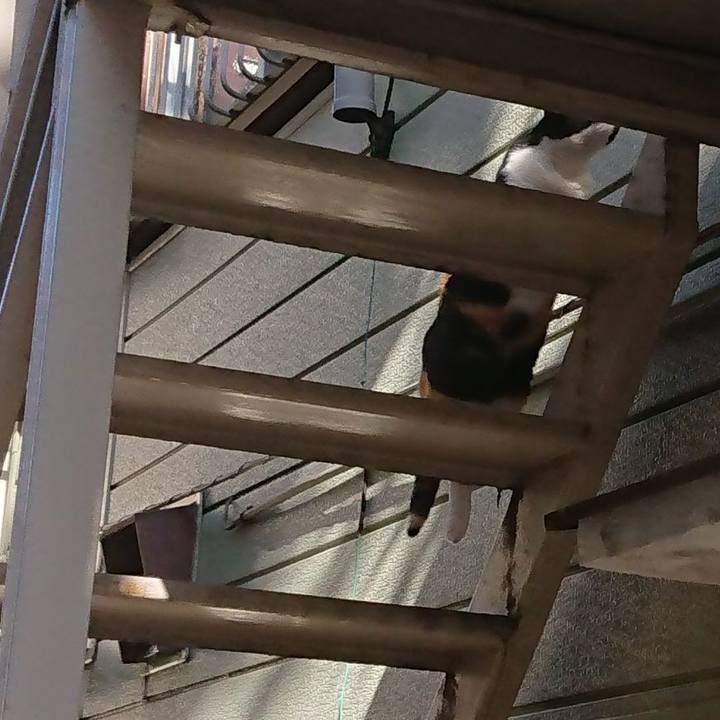 21305ae3 82cb 4aea 9c32 dfa1944c4e68 1601284641908