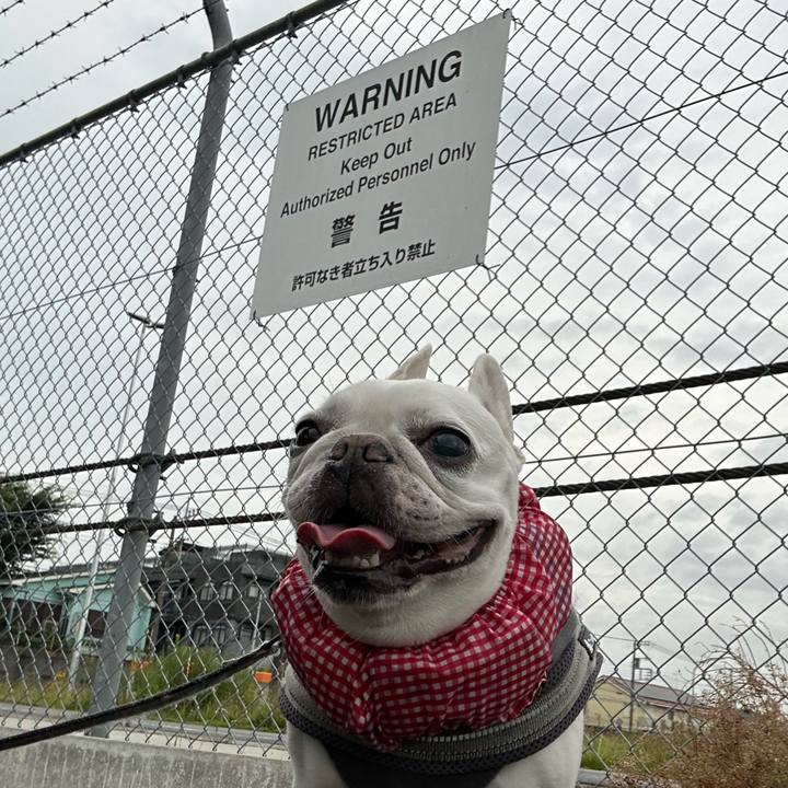 2130750b 873a 4755 8ec6 71f5468dc11e 1688779397497